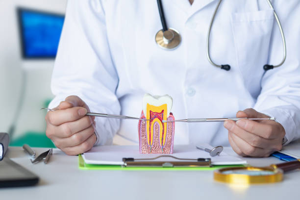 Best Pediatric Emergency Dentist in Black Point Green Point, CA